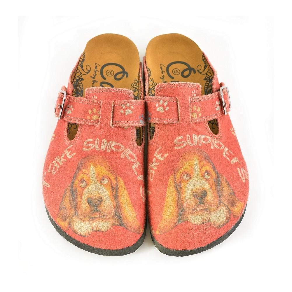 Colored Paw Patterned, Brown Dog and Take Supers Written Red Patterned Sandal - CAL1301