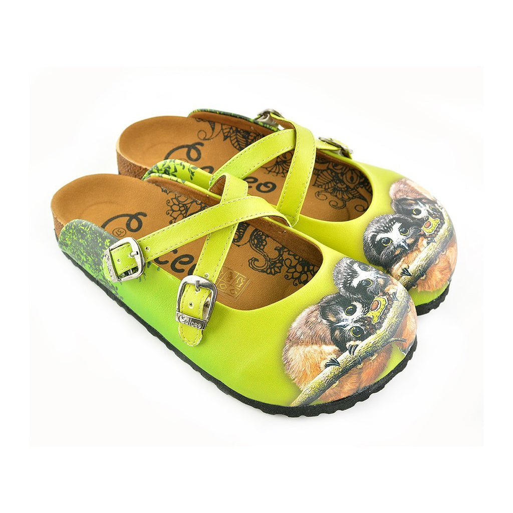 Yellow and Green Colored, Brown Colored Cute Owl Patterned Clogs - WCAL139